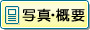 �ʐ^�E�T�v