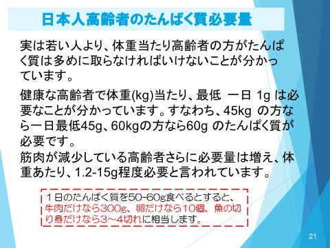 日本人高齢者のタンパク質必要量