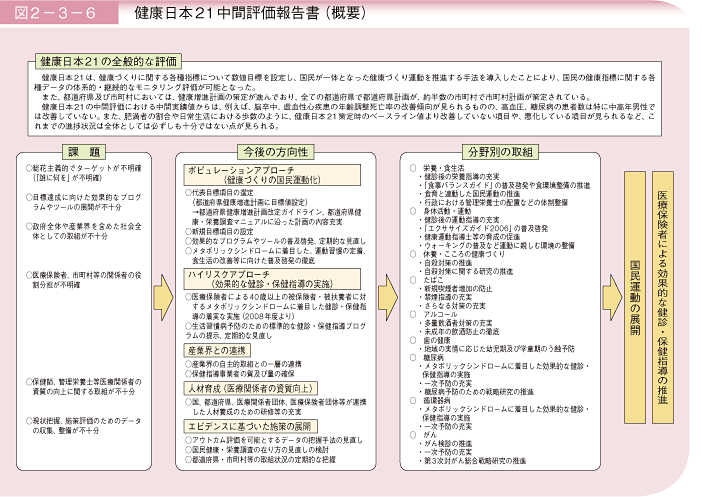 図2－3－6　健康日本21中間評価報告書（概要）