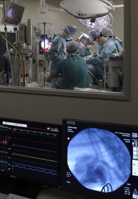 新しい医療機器の開発にもつながる手術トレーニングの様子（写真）