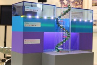 DNAの１分子解析デバイスの模型（川合PJ）（写真）