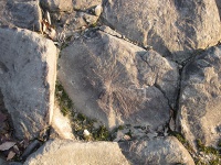 岩の表面にみられる放射状の線とその中心（写真）