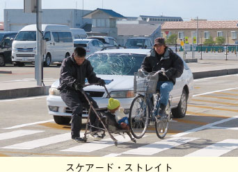 スケアード・ストレイト。横断歩道でベビーカーを押す歩行者と自転車が衝突する様子の写真