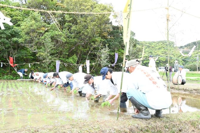 種子島宝満神社の御田植祭