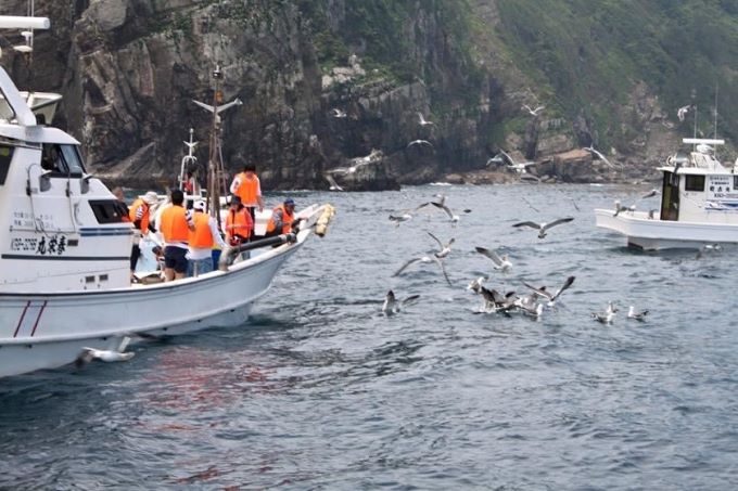 鹿島ウミネコまつり