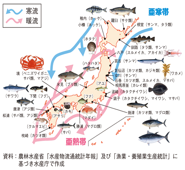 「日本の水産資源」日本の海流の流れ及び漁獲できる魚介類の分布を図示したもの。農林水産省「水産物流通統計年報」及び「漁業・養殖業生産統計」に基づき水産庁で作成