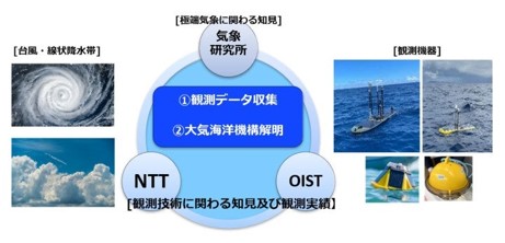 NTT研究チームとOISTの連携を現した図