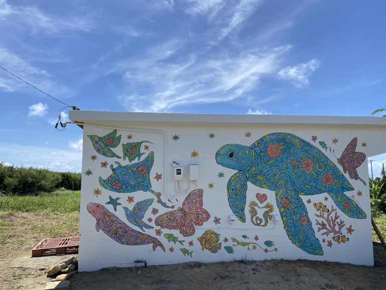 壁にウミガメが描かれた建物