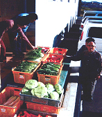 給食センターに納入される野菜の写真