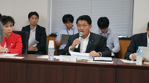 デブリ対策への取組が一層重要になると述べる平井大臣